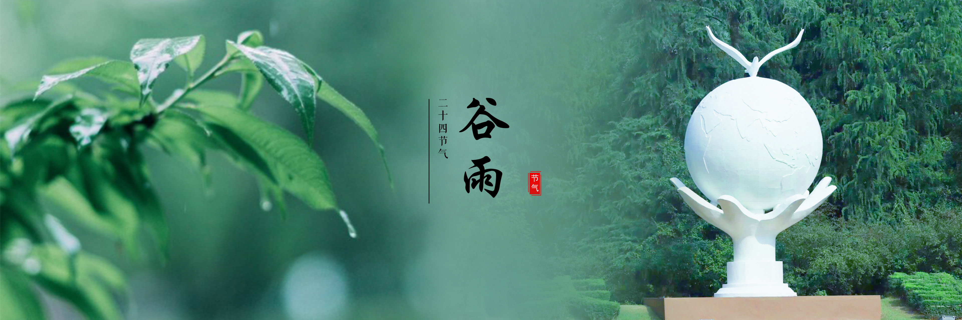 谷雨